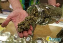 «Слуги» провалили голосование за легализацию медицинского каннабиса