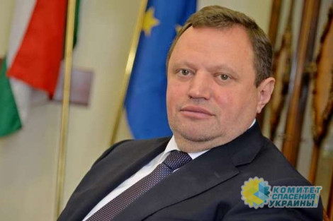 Украина объявила персоной нон-грата консула Венгрии в Берегово