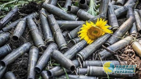 Договориться о «пасхальном перемирии» на Донбассе не удалось, – ОБСЕ