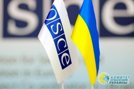 ОБСЕ требует, чтобы в Украине пересмотрели один из скандальных законов