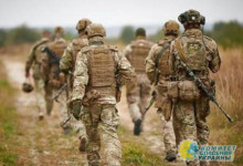 Украина отчиталась о разведении сил в Золотом