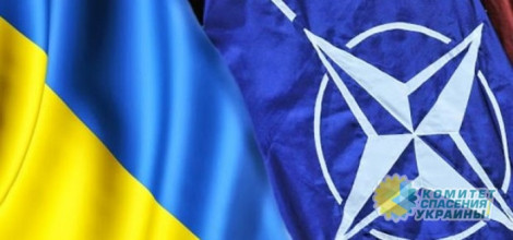 Николай Азаров: о совместном заявлении Комиссии НАТО – Украина