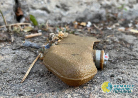 Украинские террористы рассыпали по Донецку противопехотные мины