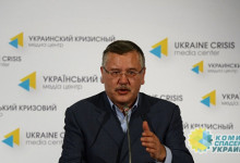 Гриценко призвал не голосовать за Порошенко во втором туре