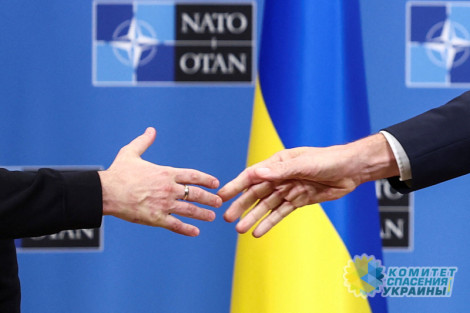 Киевский режим не собирается отказываться от курса на присоединение к НАТО
