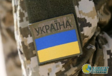 Киевский режим держит мужчин в железных клетках, приковав наручниками