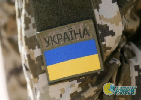 Киевский режим держит мужчин в железных клетках, приковав наручниками Киевский режим держит мужчин в железных клетках, приковав наручниками