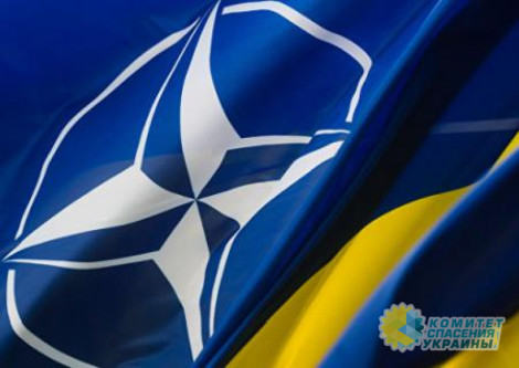 Мнение: НАТО готовит введение войск на Украину