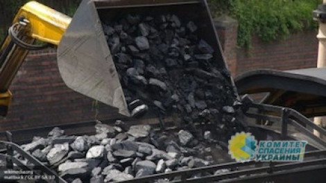 Замалчиваемая Киевом правда о покупке коксового угля «у агрессора» всплыла наружу