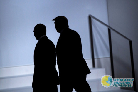 Встреча с Зеленским не является условием для встречи Путина и Трампа