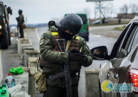 Украинки-добровольцы начали массово дезертировать с поля боя