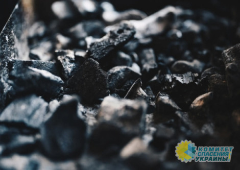 Немцы готовятся прекратить импорт нефти и угля из России