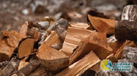 На Украине из-за подорожания газа взлетела цена на дрова
