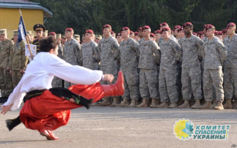 «Надо всё!»