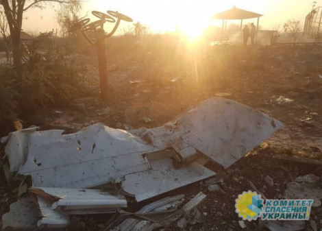 Крушение самолета МАУ в Тегеране: стало известно официальное число пассажиров