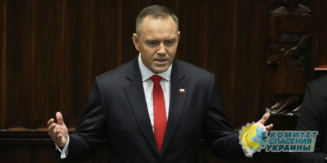 Польша не собирается сбивать дроны над Украиной