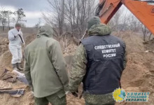 В ЛНР возобновили раскопки массового захоронения под Северодонецком