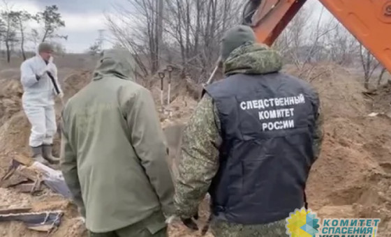 В ЛНР возобновили раскопки массового захоронения под Северодонецком