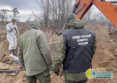 В ЛНР возобновили раскопки массового захоронения под Северодонецком