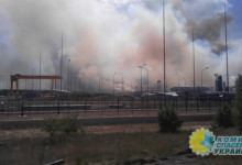 В Чернобыле сутки горит «Ржавый» лес: власти заверяют — опасности нет