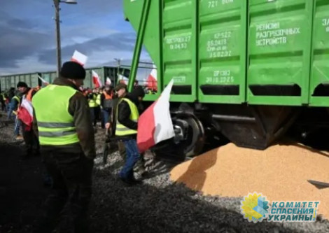Поляки высыпали украинское зерно из вагонов