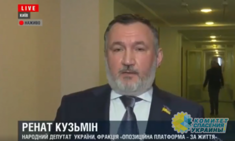 Кузьмин рассказал, откуда списан закон о СМИ партии Зеленского