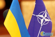 Украина просит США повлиять на Венгрию для снятия вето на заседания Альянса