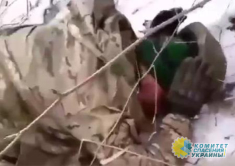 Террорист ВСУ расстрелял российских пленных Террорист ВСУ расстрелял российских пленных