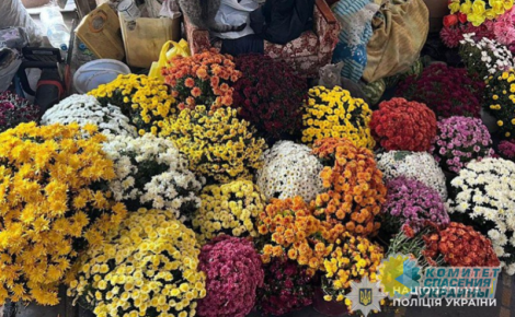 На Украине народ обогащается, грабя могилы военнослужащих