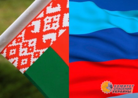 Белоруссия и ЛНР налаживают сотрудничество