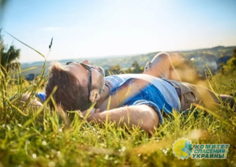 Довольных экономикой россиян стало больше