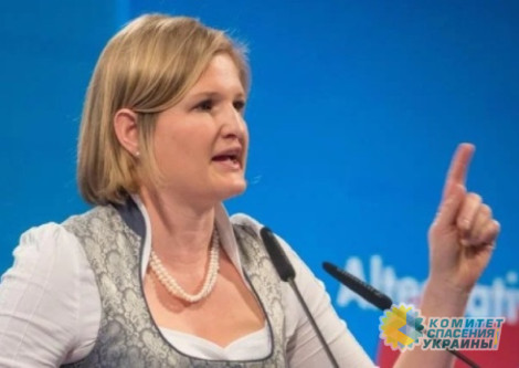 В Германии призывают к комплексной ремиграции украинцев