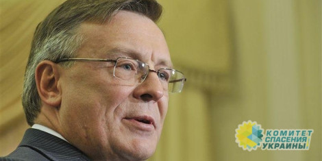 Кожара: Украина строится как агрессивное, злобное и тоталитарное государство