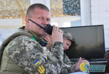 Залужный отрапортовал США