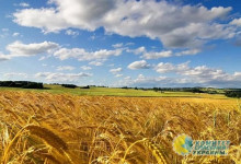 Николай Азаров: Украину захлестнуло аграрное рейдерство