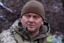 Залужный: «россиян и любых других врагов нужно убивать»