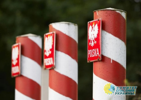 В Польше начнут проверять всё зерно из Украины