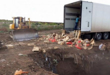 В РФ уничтожили партию санкционных продуктов из Украины