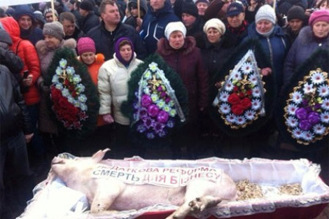 Митингующие принесли под Раду свинью в гробу
