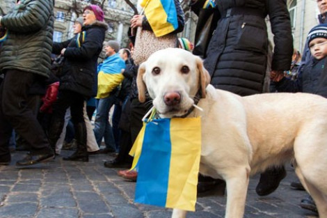 Молодежь любит Украину, но защищать ее не хочет - опрос