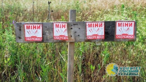 На очищение Донбасса от мин придется потратить полтора десятилетия и кругленькую сумму денег
