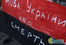 Русский язык приравнивается к госизмене