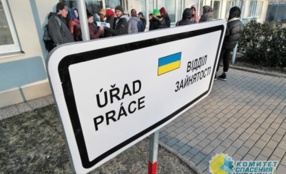 Прага настаивает на пересмотре правил приёма украинских беженцев в ЕС