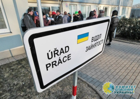 Прага настаивает на пересмотре правил приёма украинских беженцев в ЕС