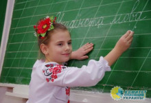 Потомки нацистских коллаборационистов из Украины начали украинизировать Бразилию