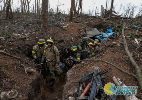 «Победы любят тишину»