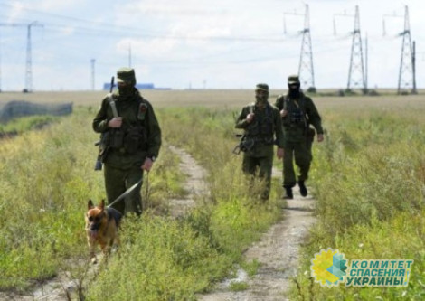 Вся территория Украины может стать буферной зоной Вся территория Украины может стать буферной зоной