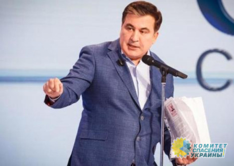 Саакашвили собрался вытаскивать Украину из болота на посту главы комитета реформ