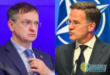 Мединский готов провести для Рютте исторический ликбез