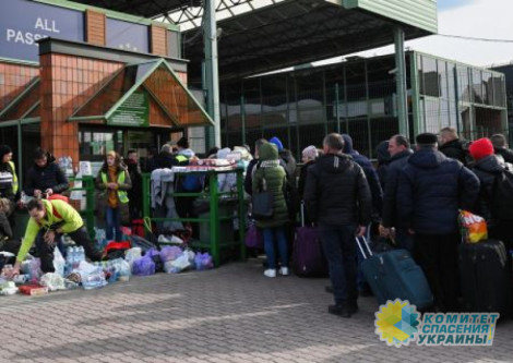 Приютившего 40 украинских беженцев поляка обвинили в расизме и ксенофобии